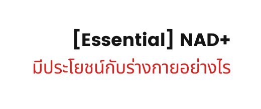 Essential NAD āļĄ āļāļĢāļ°āđāļĒāļāļ āļ āļāļĢ āļēāļāļāļēāļĒāļāļĒ āļēāļāđāļĢ