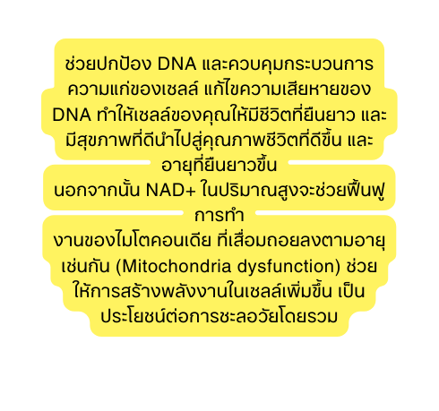 āļ āļ§āļĒāļāļāļ āļāļ DNA āđāļĨāļ°āļāļ§āļāļ āļĄāļāļĢāļ°āļāļ§āļāļāļēāļĢāļāļ§āļēāļĄāđāļ āļāļāļāđāļāļĨāļĨ āđāļ āđāļāļāļ§āļēāļĄāđāļŠ āļĒāļŦāļēāļĒāļāļāļ DNA āļāļģāđāļŦ āđāļāļĨāļĨ āļāļāļāļ āļāđāļŦ āļĄ āļ āļ§ āļāļ āļĒ āļāļĒāļēāļ§ āđāļĨāļ°āļĄ āļŠ āļāļ āļēāļāļ āļ āļāļģāđāļāļŠ āļ āļāļ āļēāļāļ āļ§ āļāļ āļ āļ āļ āđāļĨāļ°āļāļēāļĒ āļ āļĒ āļāļĒāļēāļ§āļ āļ āļāļāļāļāļēāļāļ āļ NAD āđāļāļāļĢ āļĄāļēāļāļŠ āļāļāļ°āļ āļ§āļĒāļ āļāļ āļāļēāļĢāļāļģ āļāļēāļāļāļāļāđāļĄāđāļāļāļāļāđāļ āļĒ āļ āđāļŠ āļāļĄāļāļāļĒāļĨāļāļāļēāļĄāļāļēāļĒ āđāļ āļāļ āļ Mitochondria dysfunction āļ āļ§āļĒāđāļŦ āļāļēāļĢāļŠāļĢ āļēāļāļāļĨ āļāļāļēāļāđāļāđāļāļĨāļĨ āđāļ āļĄāļ āļ āđāļ āļāļāļĢāļ°āđāļĒāļāļ āļ āļāļāļēāļĢāļāļ°āļĨāļāļ§ āļĒāđāļāļĒāļĢāļ§āļĄ